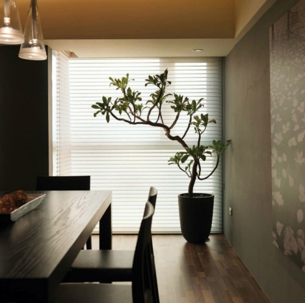 Modern, semi-minimalist design