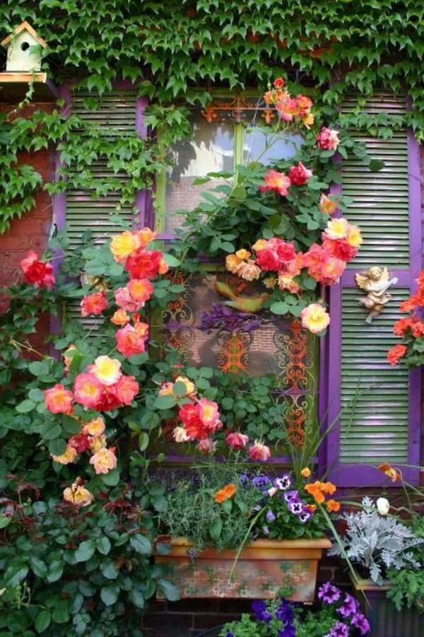 Rose pruning in spring or autumn - cut roses properly