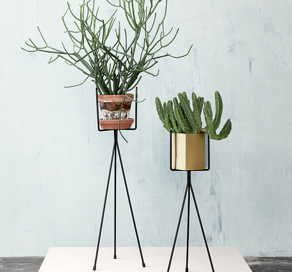 Five of the coolest home trends in 2014