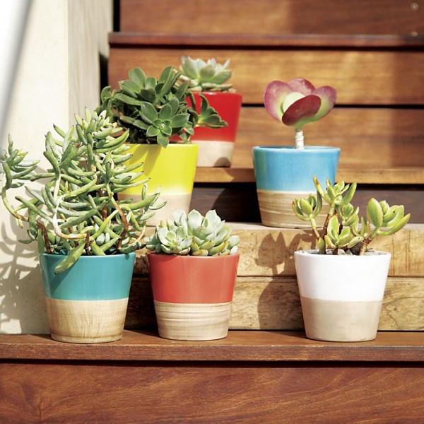 Five of the coolest home trends in 2014