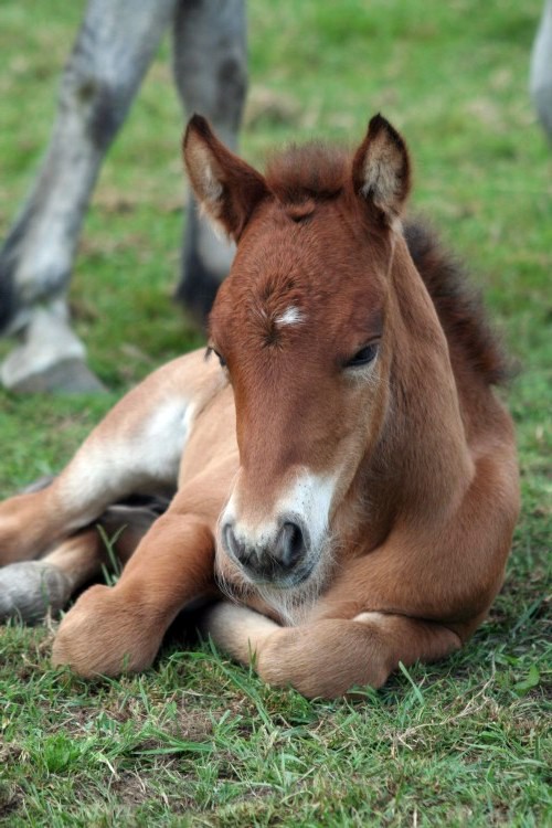 30 cute baby animals - they see but from not cute? 30 cute baby animals - they see but from not cute?