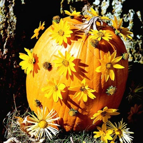 Fleet Halloween decoration - Last Minute designs for your celebration