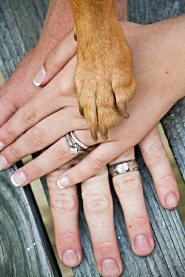 Funny Wedding Photos Ideas
